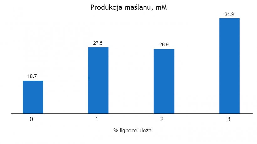 Ryc. 1. Zależny od dawki wpływ włączenia lignocelulozy na produkcję maślanu (mM) u prosiąt odsadzonych&nbsp;w 63 dniu życia (zaadaptowane od:&nbsp;Silva-Guillen i in., 2022) P=0,001 SEM= 1,810.
